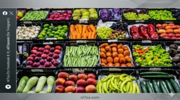 استقرار أسعار الخضروات والفاكهة في سوق العبور يوم الثلاثاء ١٧ مارس ٢٠٢٦